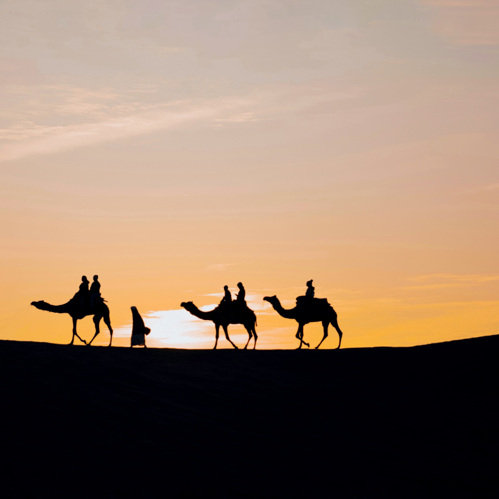 Rajasthan from a working professional to an entrepreneur (13)