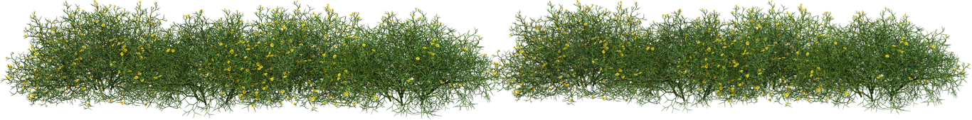 untitled design 1 1.png